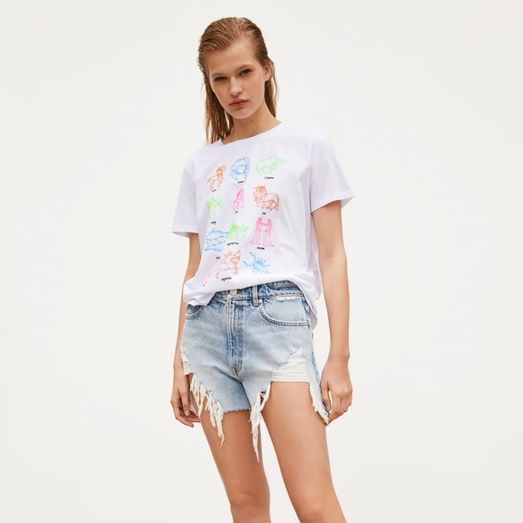 Zara | Tops | Zara Zodiac Embroidered 